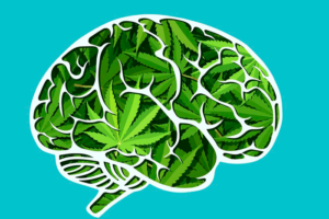 Los efectos negativos de la marihuana, una de las drogas más extendidas y consumida